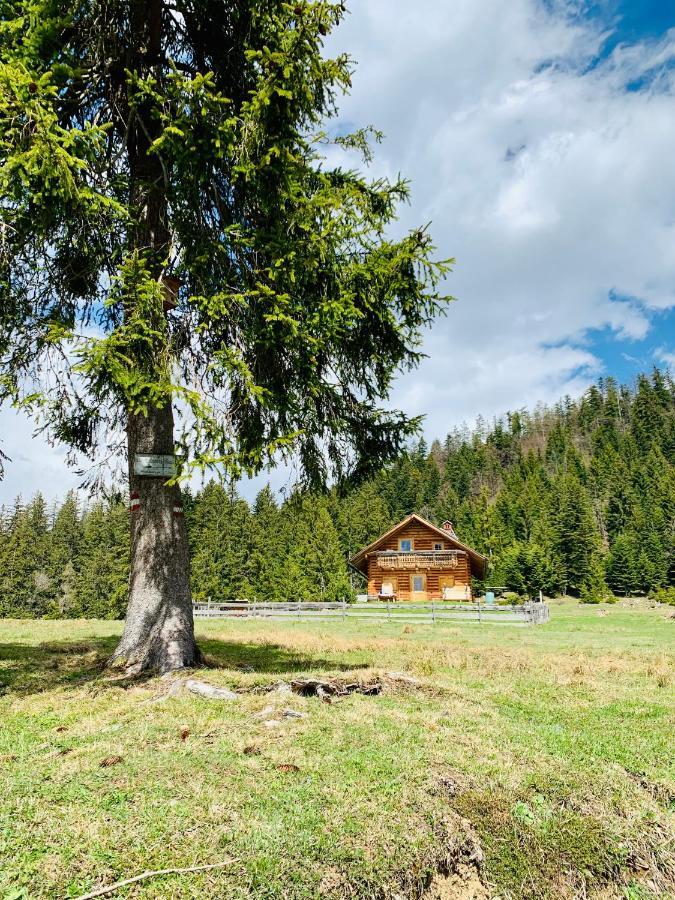 Bergheimat Lejlighed Bad Goisern Eksteriør billede